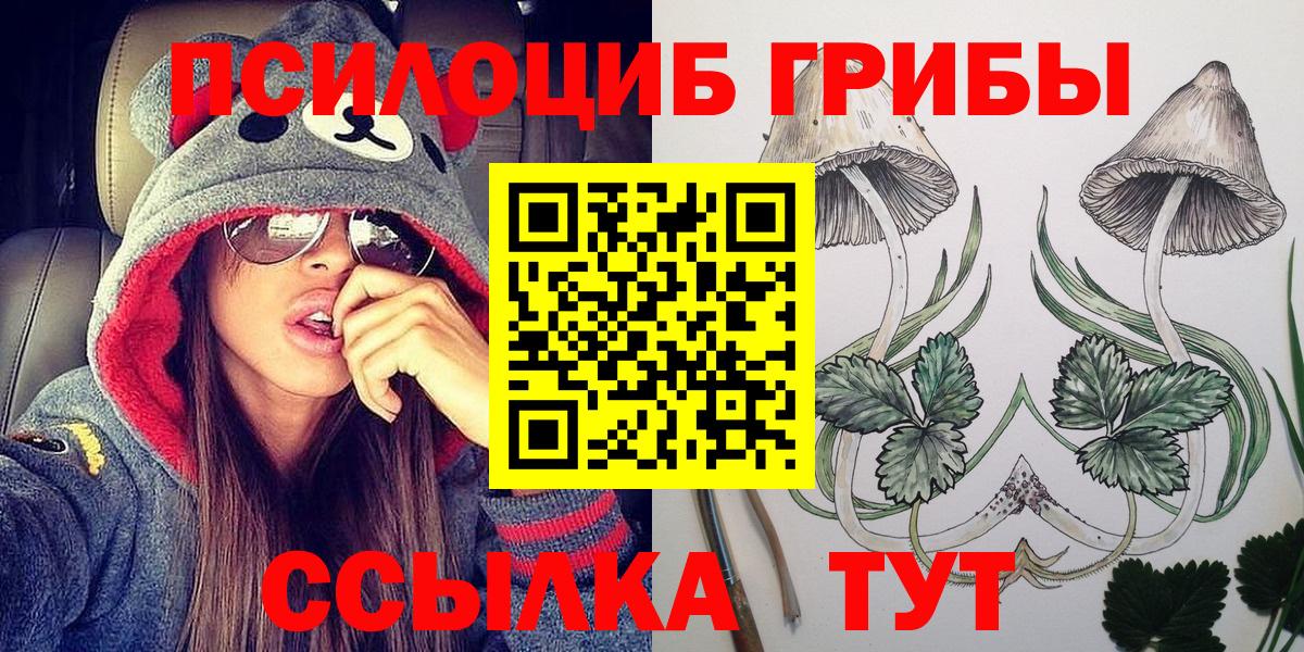 Псилоцибиновые грибы мицелий Ростов Великий